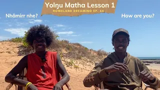 Learn Yolngu Matha (Language) Lesson 1 | Homeland Dreaming Ep. 66