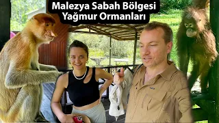 Su Köyü, Orangutan, Timsah ve Hortum Burunlu Maymunlar, Pazarlar -  Malezya'ya Bakışınız Değişecek!