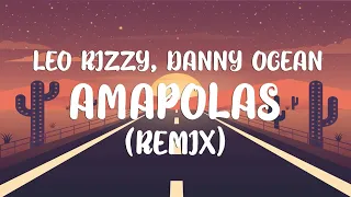 Leo Rizzi, Danny Ocean - Amapolas (Remix) (Letra/Lyrics)