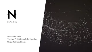 Houdini: Tearing A Spider Web Using Vellum Grains