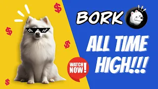 BORK: All Time High! To the moon! #crypto #bitcoin