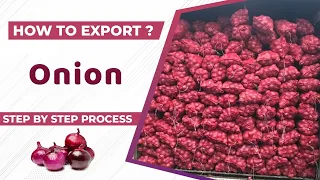 How to Export Onion from India A to Z information | Onion Export Import Business, onion Export