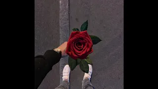 (FREE) Andro x JONY x Ramil' Type Beat - "rose" (prod. kava)