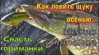 Как ловить щуку осенью . Снасть, приманки . Места обитания .