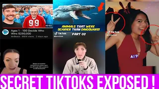 CREEPY TIK TOK’s That’ll SHIFT Your REALITY!