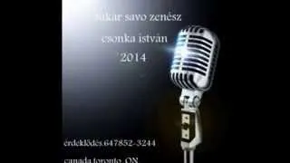 sukár savo zenész és csonka István  Szerelem Tánc 2014