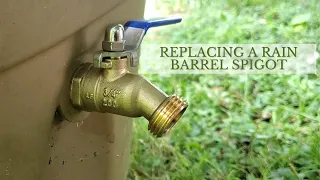 How to Replace a Broken Rain Barrel Spigot (EASY)