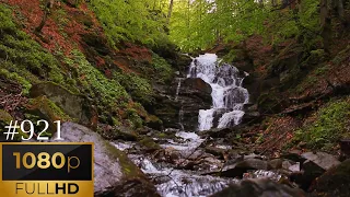 Multiple Waterfalls In Rainforest - 1 HOUR Of Natural Background Sounds #921