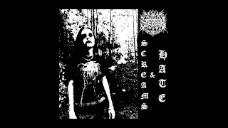 Sterben - Screams & Hate (Black Metal/Raw/2024)