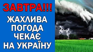 ПОГОДА НА ЗАВТРА : ПОГОДА 12 СЕРПНЯ