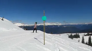 "Rabbit Tracks" (Whistler mountain) 2024-04-22