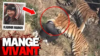Ce Tigre Rancunier De Sibérie SE VENGE De Ce Chasseur | Dévoré Vivant | Homme VS Animal