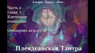 Амора Гуань   Инь ПЛЕЯДЕАНСКАЯ  ТАНТРА  Аудиокнига 5