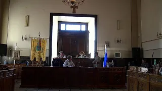 Consiglio Comunale del 29-07-2020