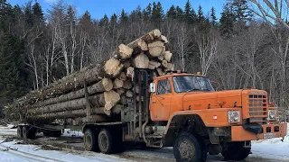Лесовоз UZA-520#Хлыстовая вывозка леса 2024-год