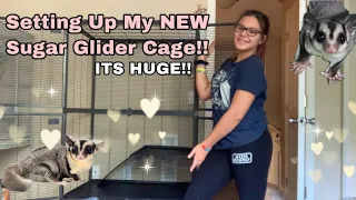 Setting up my new Sugar Glider cage!!