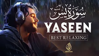 Surah Yasin (Yaseen) سورة يس | Most Relaxing Heart touching recitation | Wonderful Quran