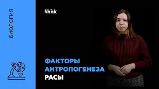 Факторы антропогенеза расы | Биология