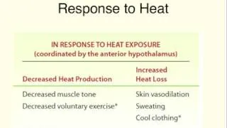 MedSci - Thermoregulation - Lecture 2