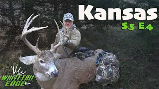 FASTEST BIG BUCK Hunt You'll Ever See