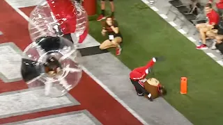 Brutus gets trucked by contestants in the end zone 🤣