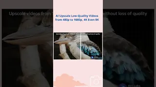 AI Video Upscaling Software to Upscale Videos up to 1080p, 4K, 8K