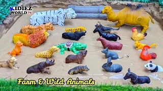 Fun Learning with Wild & Farm Animals for Kids | Lion, Horse, Tiger, Bear, Cat, Hen, Panda!