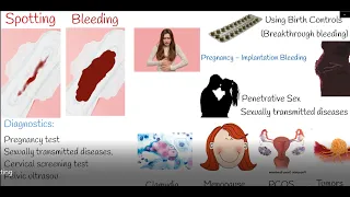 Spotting - Vaginal Bleeding Between periods