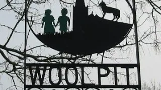 The Green Children of Woolpit