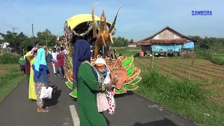 paway wisuda pondok pesantren tarbiyatul muptadiin campor sorok Proppo Pamekasan ( paway wisuda)