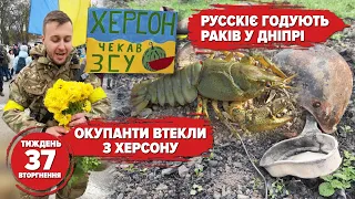 🍉ХЕРСОН - це Україна! А русскіє годують раків у Дніпрі | Хроніка 37 тижня