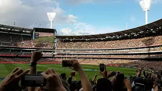 Yellow and Black.  AFL Grand Final 2017.  Richmond Tigers.