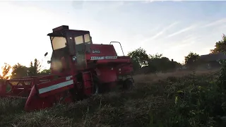 Жнива сусіда комбайном Massey Ferguson 240 !