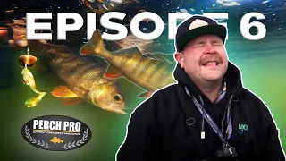 PERCH PRO 8 - Episode 6