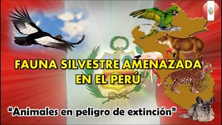 ANIMALES EN PELIGRO DE EXTINCION EN PERU