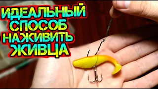 Самый эффективный - уникальный способ надеть живца.