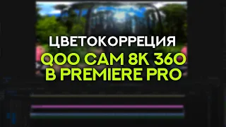 Цветокоррекция видео снятого на Kandao QooCam 8K 360 камеру - Уроки видео монтажа