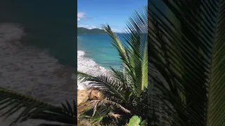 Our vacation in Puerto Rico
