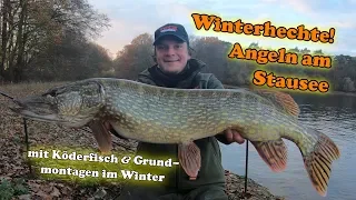 Winterhechte! Angeln am Stausee auf Hecht im Winter mit Köderfisch & Grundmontagen