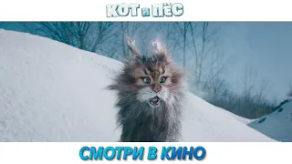 Кот и пёс | Смотри в кино