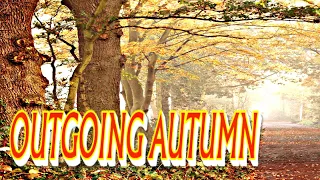 Music for the Soul,, OUTGOING AUTUMN,, Music Sergey Grischuk