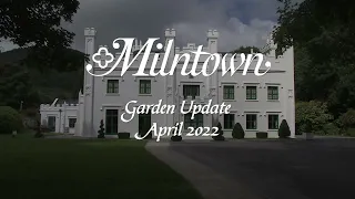 Milntown Garden update April 2022