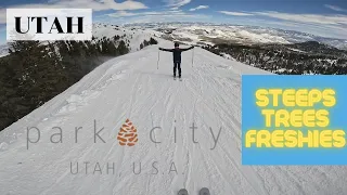 Park City UTAH - Steeps Trees Freshies - 4K