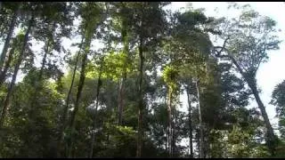 Reportage Legion Etrangere-Guyane 2011 *Part 2*