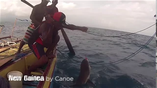 Catching a Shark on expedition around Papua New Guinea 2016.