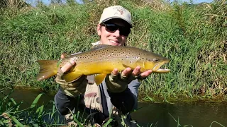 Autumn Hopper and Cricket Fly-Fishing in the Driftless
