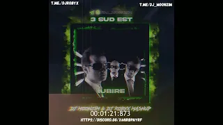 3SudEst x Butesha - Iubire (DJ Moonzim & DJ RobyX Radio Edit)