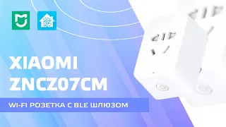 Wi-fi розетка Xiaomi Mijia 2, с Bluetooth шлюзом - обзор, интеграция в Home Assistant