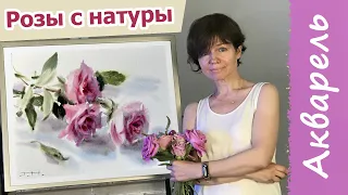 Розы акварелью с натуры