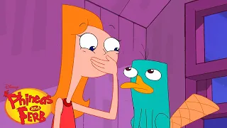 Caught on Camera | Phineas and Ferb | Disney XD